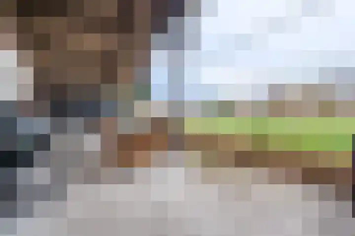 Koloniesweg 5 Bellingwolde thumbnail 9