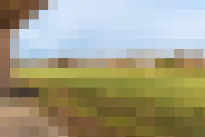 Koloniesweg 7 Bellingwolde thumbnail 11