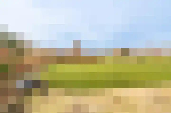 Koloniesweg 7 Bellingwolde thumbnail 13