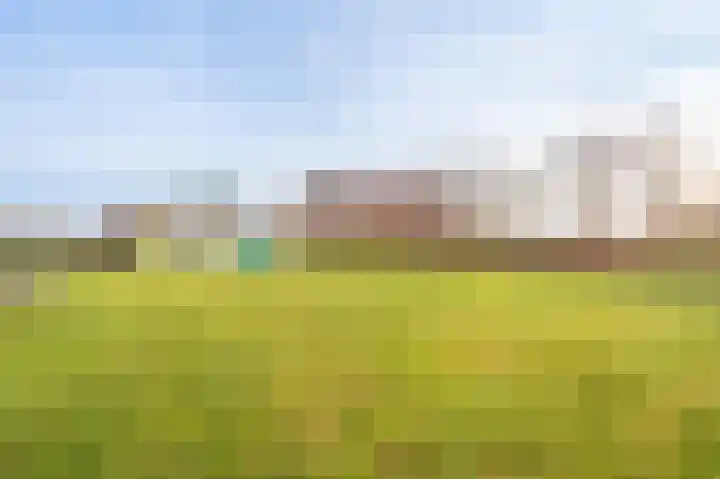 Koloniesweg 7 Bellingwolde thumbnail 15