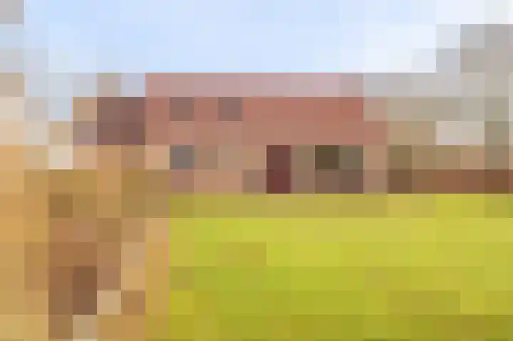 Koloniesweg 7 Bellingwolde thumbnail 17