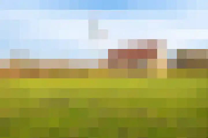 Koloniesweg 7 Bellingwolde thumbnail 18