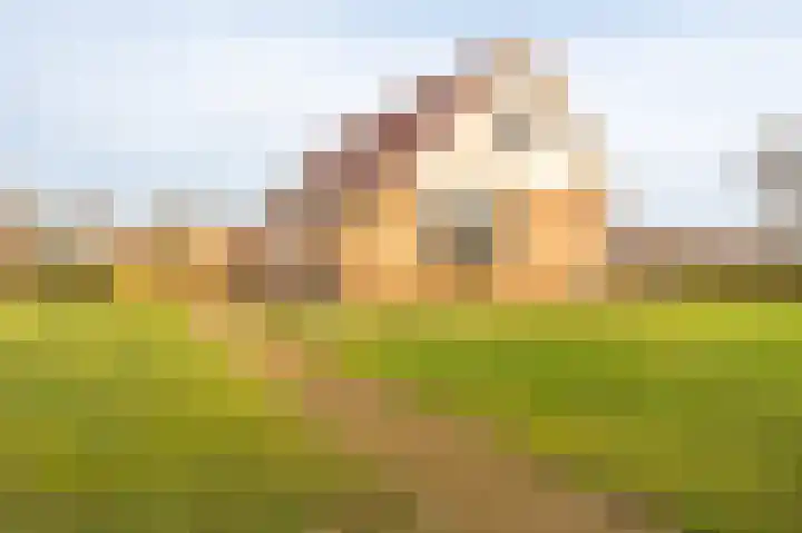 Koloniesweg 7 Bellingwolde thumbnail 21