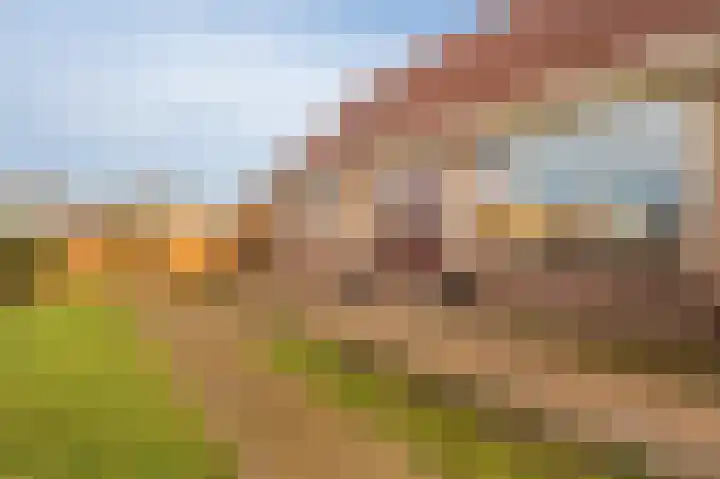 Koloniesweg 7 Bellingwolde thumbnail 22