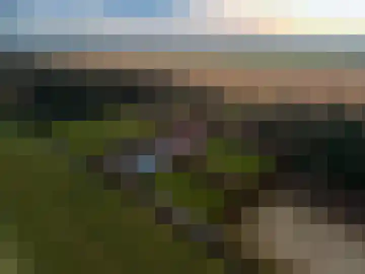 Koloniesweg 7 Bellingwolde thumbnail 23