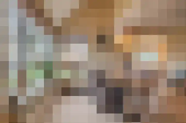 Koloniesweg 7 Bellingwolde thumbnail 34