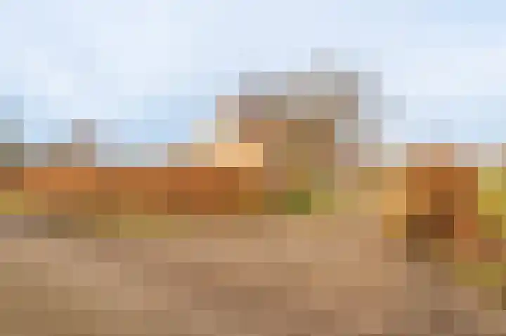Koloniesweg 7 Bellingwolde thumbnail 4