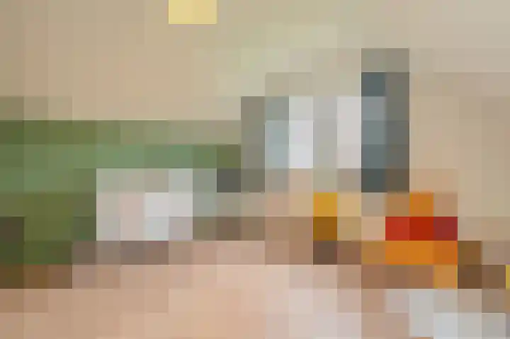 Koloniesweg 7 Bellingwolde thumbnail 52