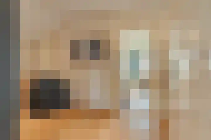 Koloniesweg 7 Bellingwolde thumbnail 53