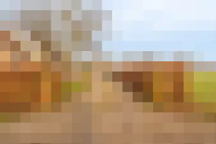 Koloniesweg 7 Bellingwolde thumbnail 6