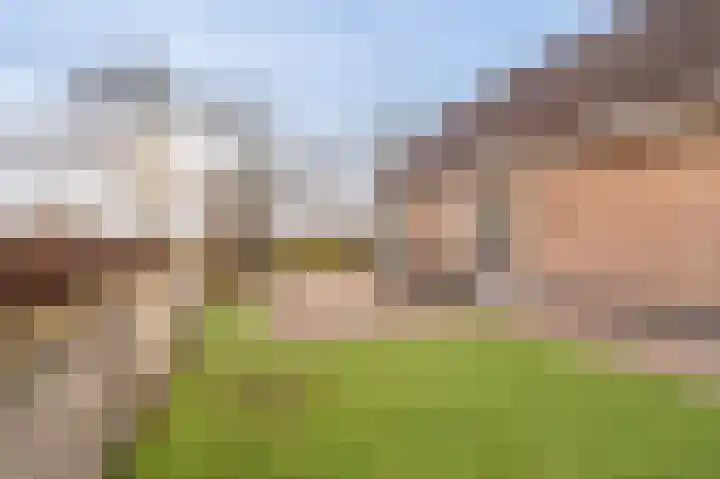Koloniesweg 7 Bellingwolde thumbnail 7