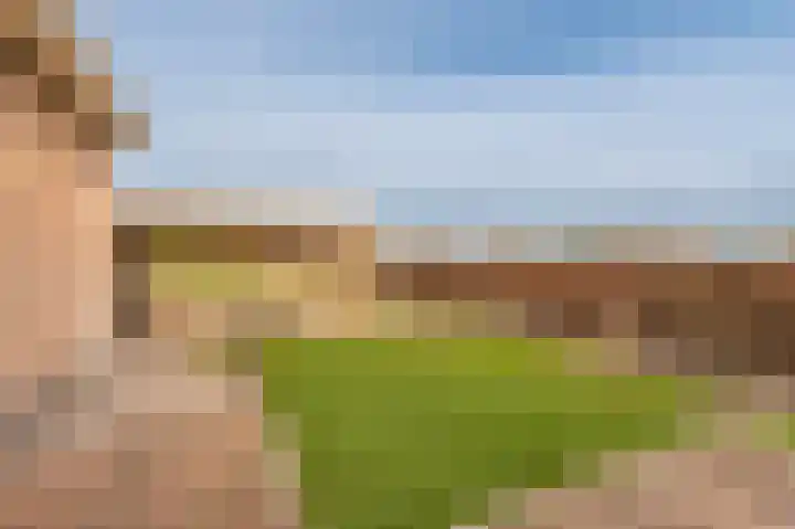 Koloniesweg 7 Bellingwolde thumbnail 8