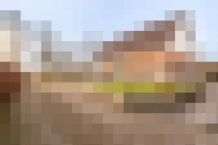 Koloniesweg 7 Bellingwolde thumbnail 9