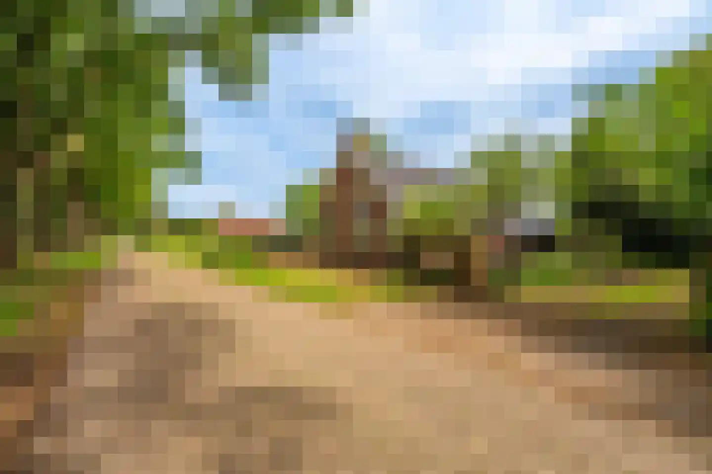 Koloniesweg 9 Bellingwolde thumbnail 6