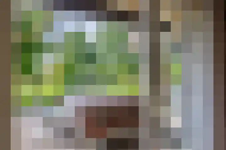 Kolonieweg 13 Havelte thumbnail 15