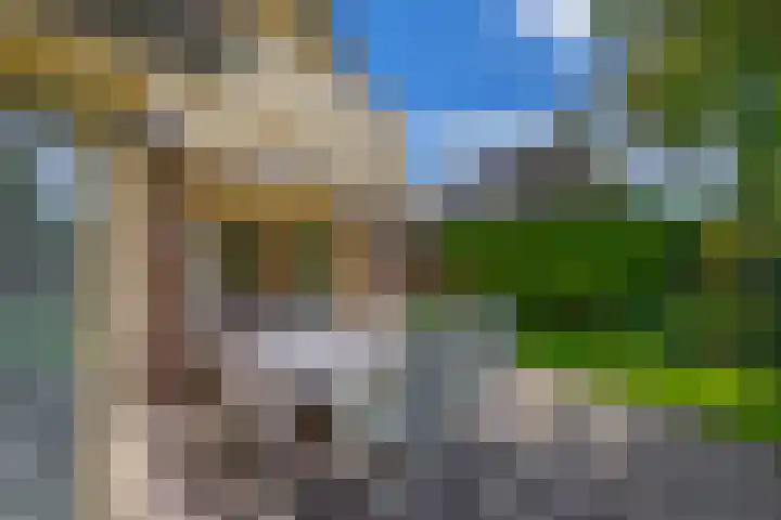 Kolonieweg 13 Havelte thumbnail 16
