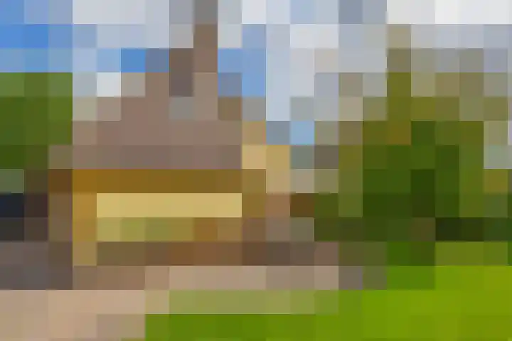 Kolonieweg 13 Havelte thumbnail 17