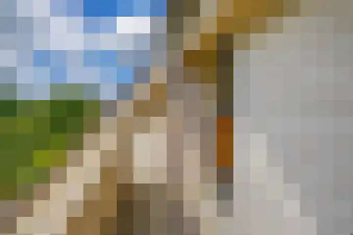 Kolonieweg 13 Havelte thumbnail 31