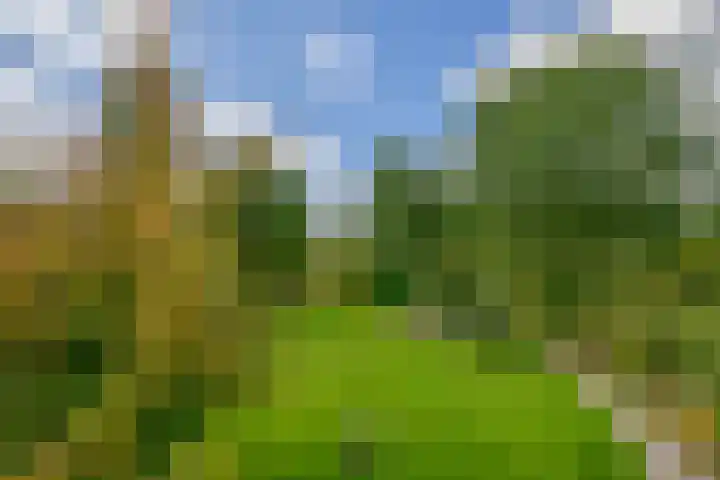 Kolonieweg 13 Havelte thumbnail 32
