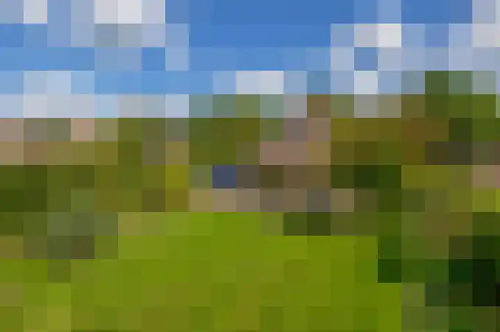 Kolonieweg 13 Havelte thumbnail 33