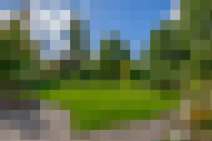 Kolonieweg 13 Havelte thumbnail 37