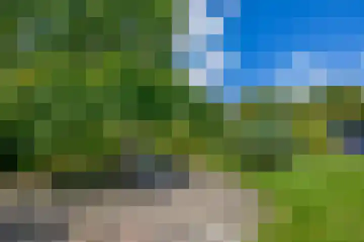 Kolonieweg 13 Havelte thumbnail 38