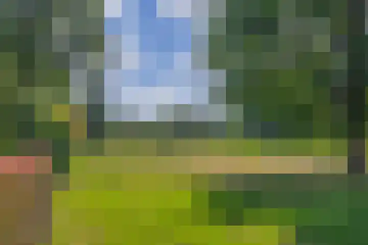 Kolonieweg 13 Havelte thumbnail 39