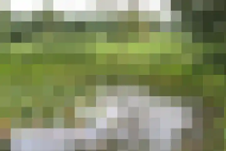 Kolonieweg 13 Havelte thumbnail 4