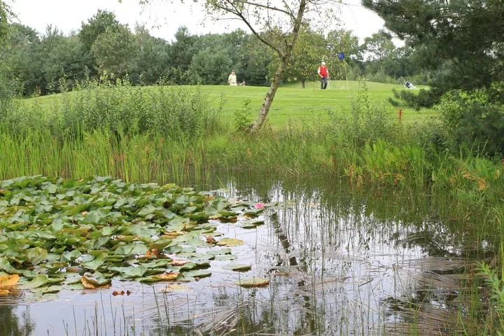Kolonieweg 13 Havelte thumbnail 4