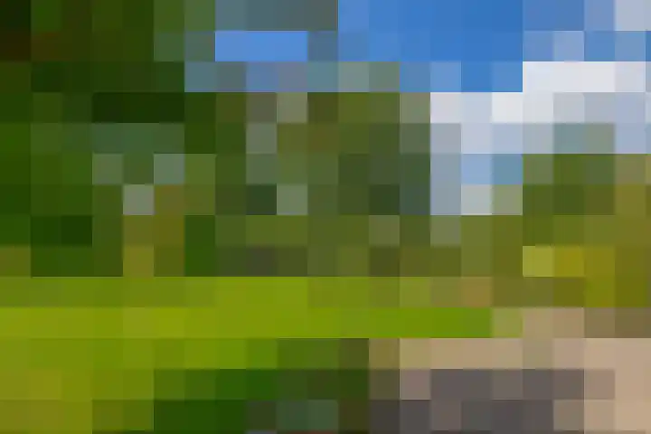 Kolonieweg 13 Havelte thumbnail 40