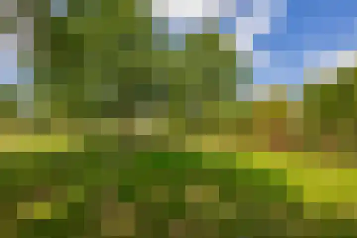 Kolonieweg 13 Havelte thumbnail 41