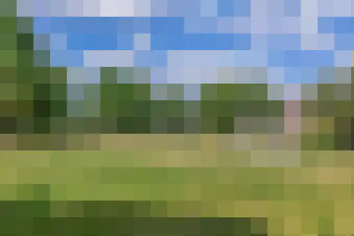 Kolonieweg 13 Havelte thumbnail 42