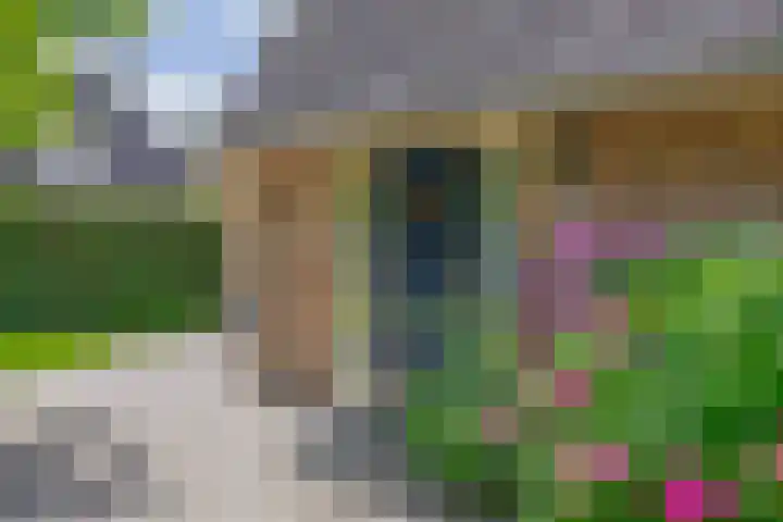 Kolonieweg 13 Havelte thumbnail 44