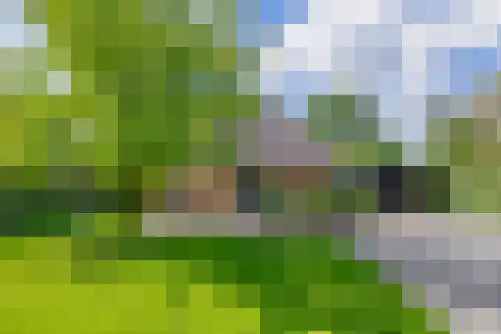 Kolonieweg 13 Havelte thumbnail 46