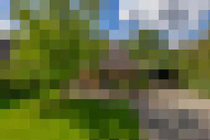 Kolonieweg 13 Havelte thumbnail 47