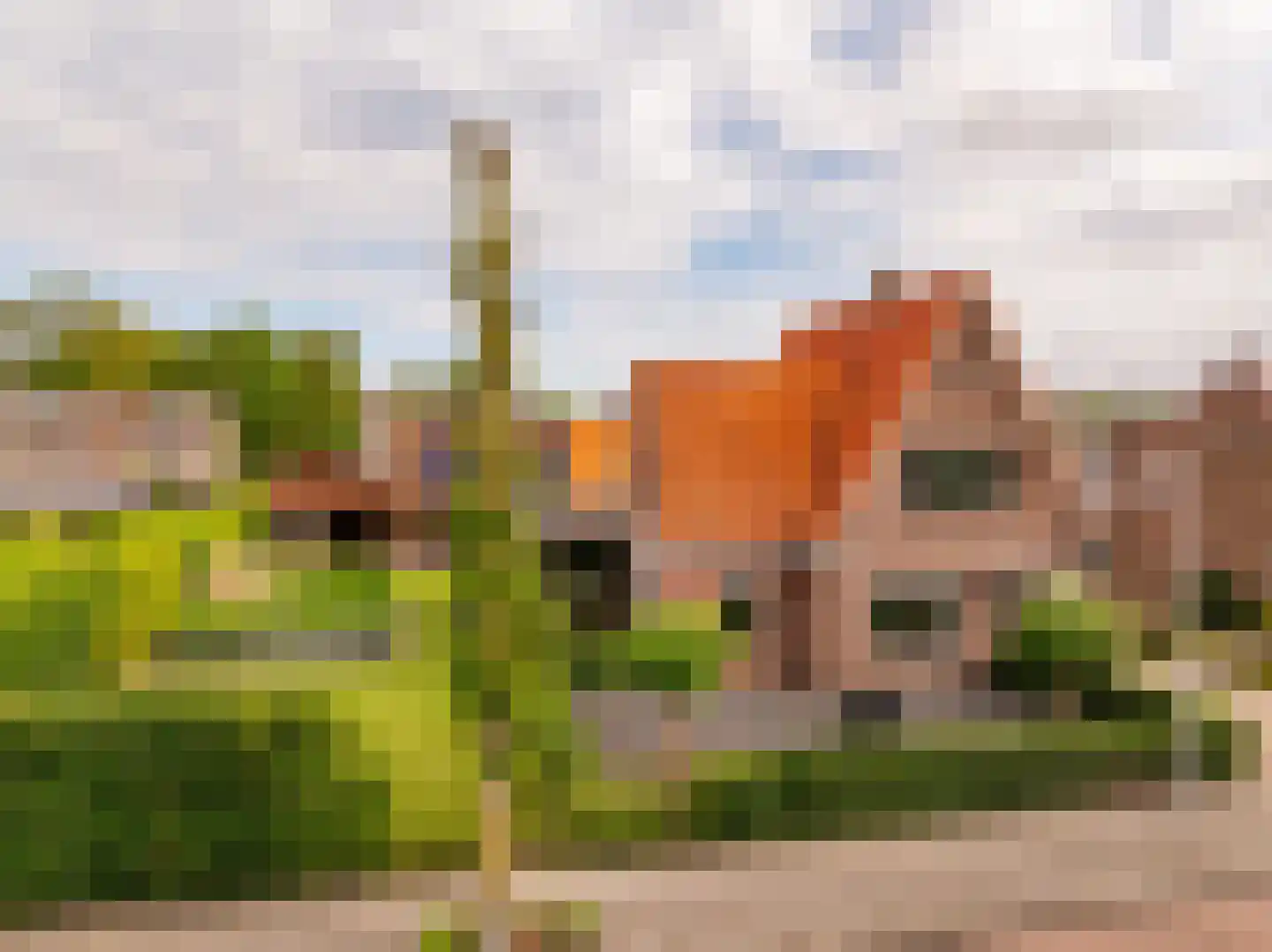 Kolonieweg 18 Balkbrug