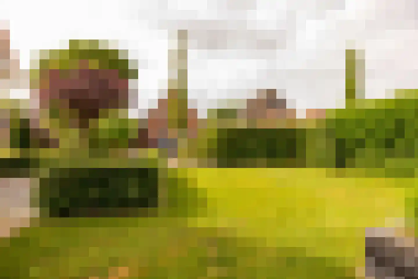 Kolonieweg 18 Balkbrug thumbnail 53