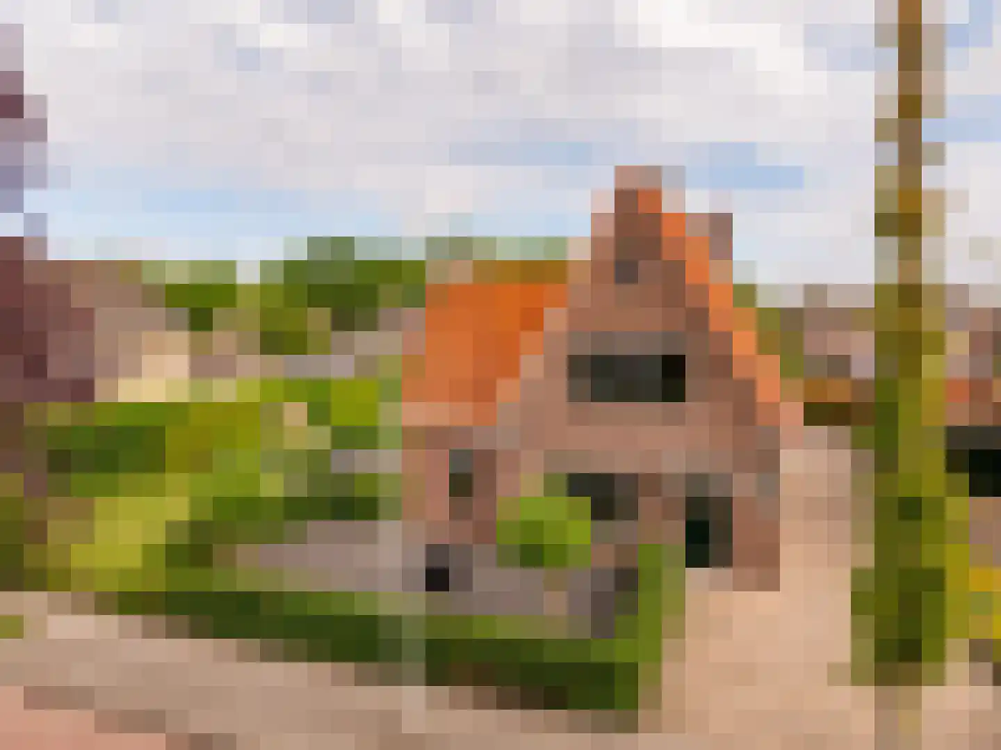 Kolonieweg 18 Balkbrug thumbnail 60