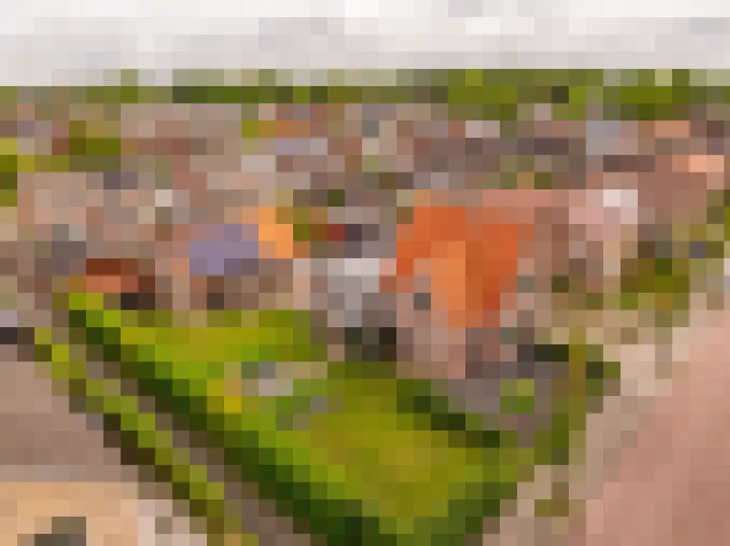 Kolonieweg 18 Balkbrug thumbnail 61