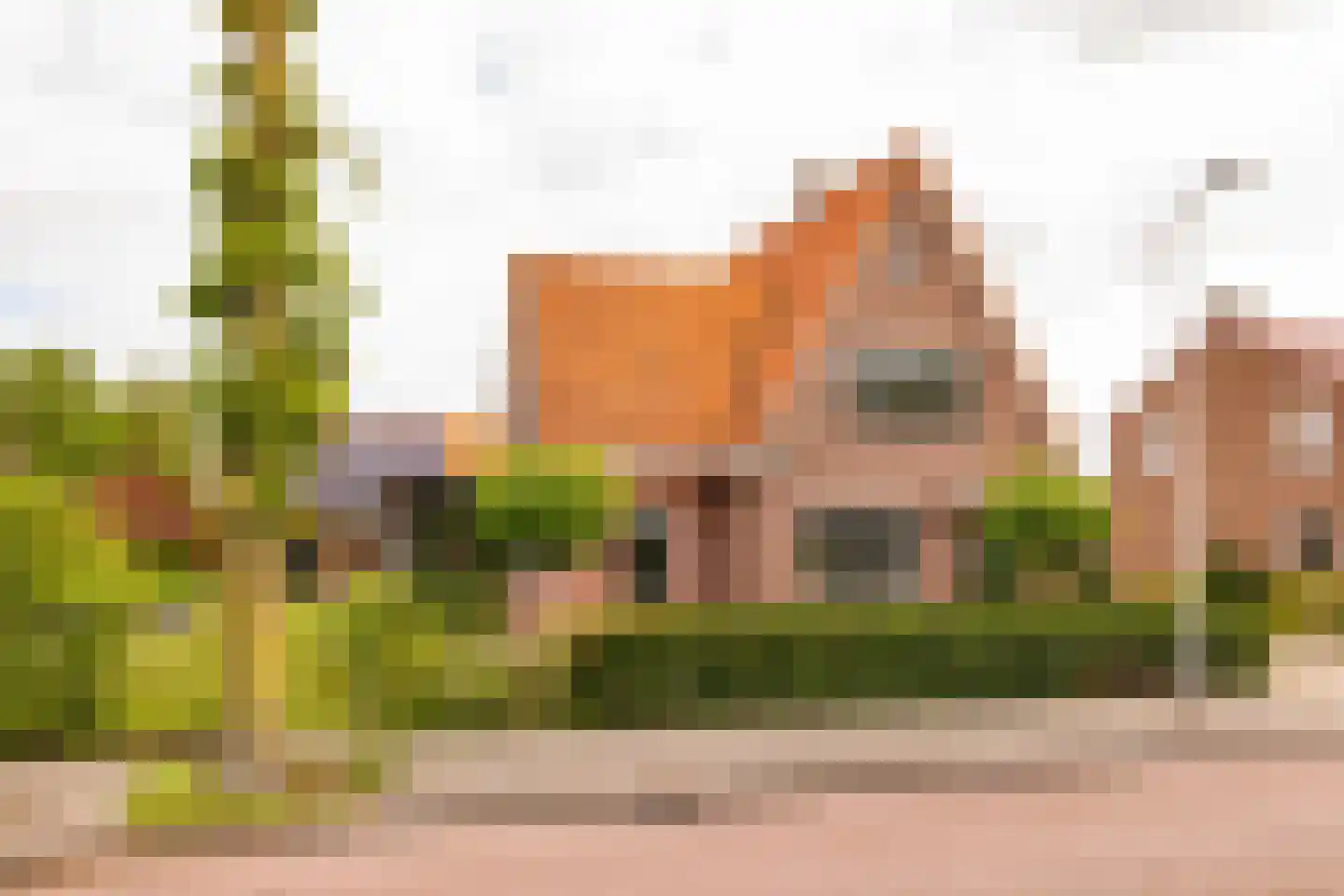 Kolonieweg 18 Balkbrug thumbnail 63