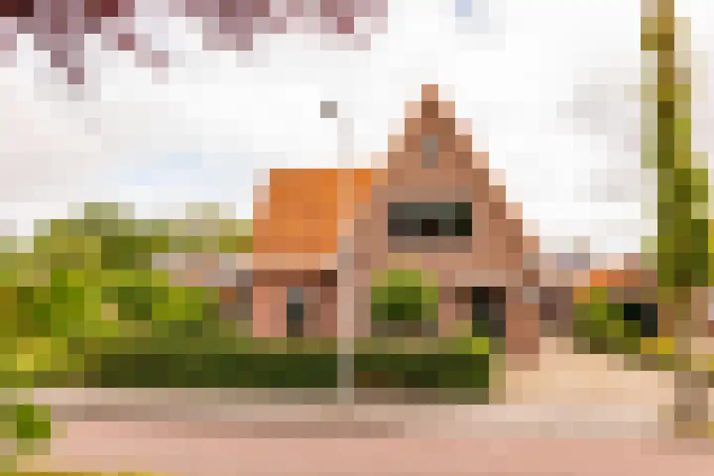 Kolonieweg 18 Balkbrug thumbnail 7