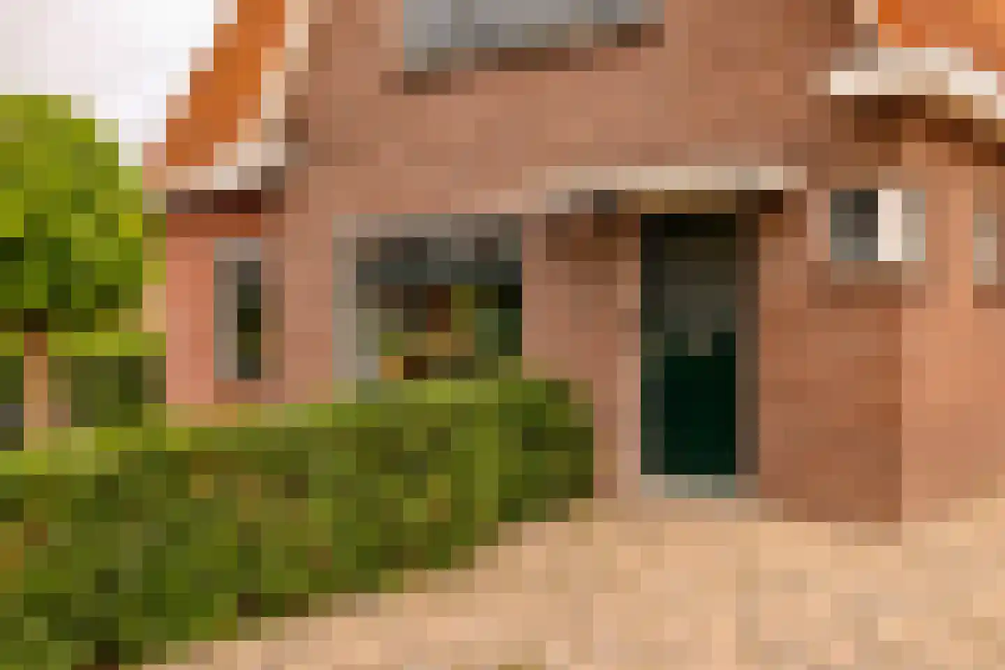 Kolonieweg 18 Balkbrug thumbnail 9