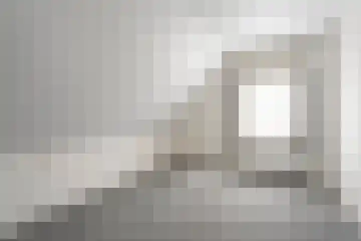 Kolonieweg 24 Balkbrug thumbnail 19