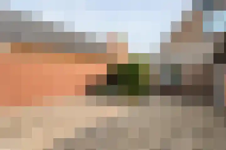 Kolonieweg 24 Balkbrug thumbnail 28
