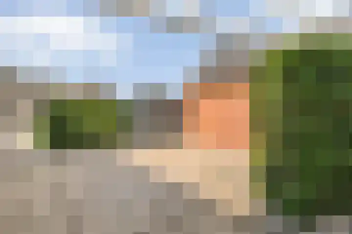Kolonieweg 24 Balkbrug thumbnail 29