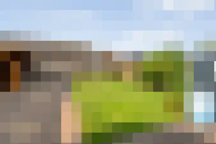 Kolonieweg 24 Balkbrug thumbnail 30