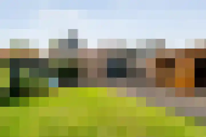 Kolonieweg 24 Balkbrug thumbnail 31