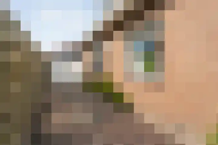 Kolonieweg 24 Balkbrug thumbnail 36