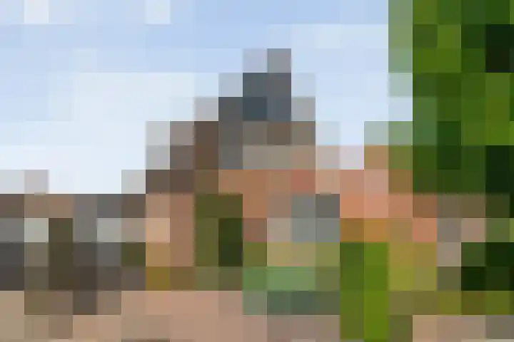 Kolonieweg 24 Balkbrug thumbnail 37