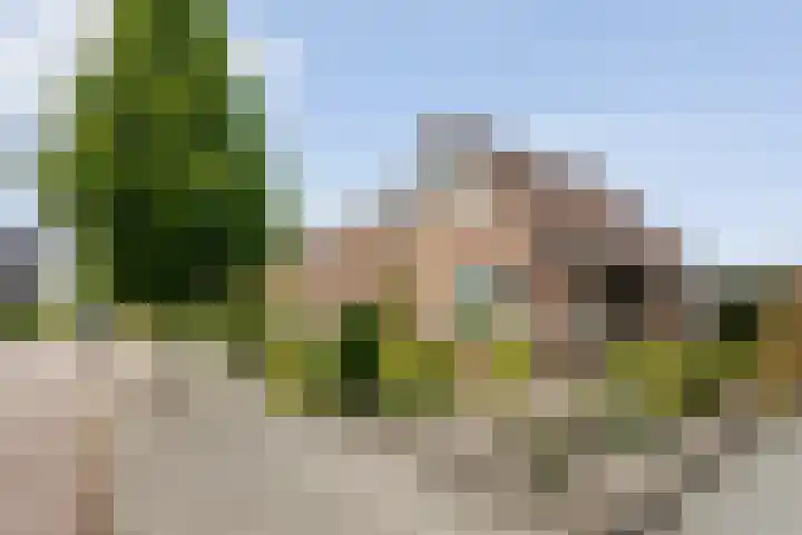 Kolonieweg 24 Balkbrug thumbnail 38